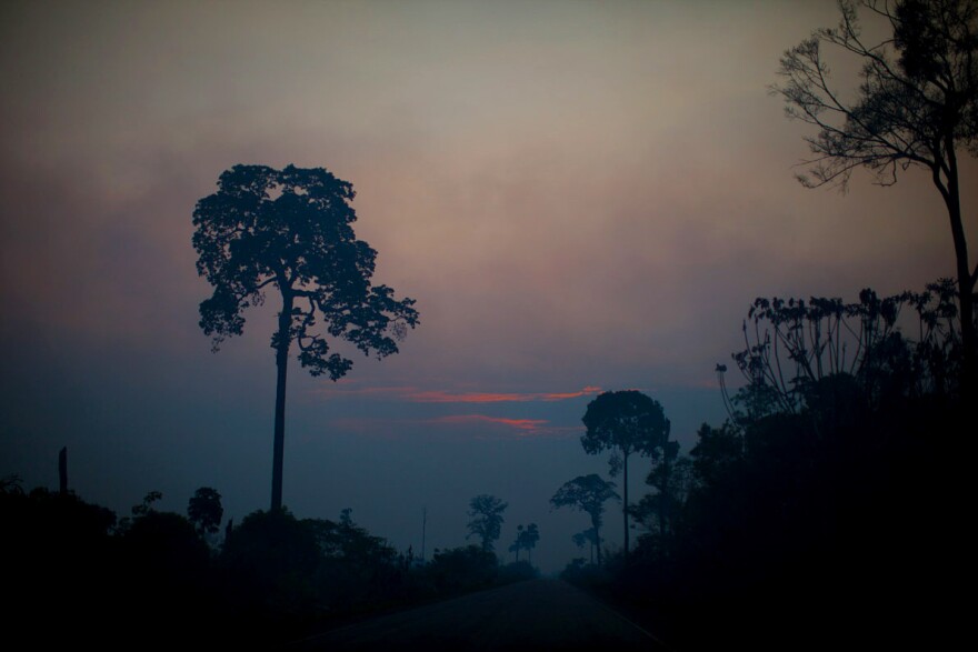 Sunset colors cut through the smoky haze in the Brazilian Amazon.