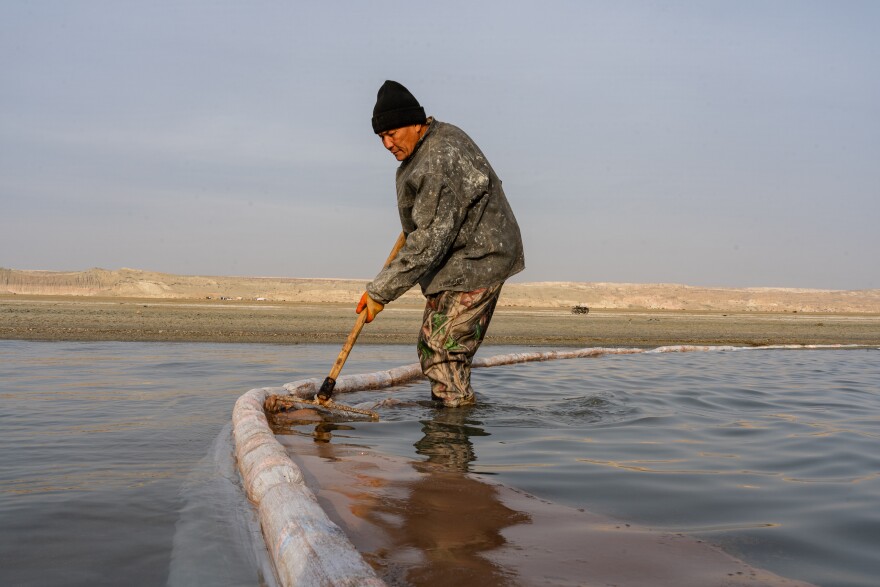 Uzbek fisherman Miyrbek Mirzamuratov gathers brine shrimp from the Aral Sea with a net, Nov. 17, 2023. The brine shrimp are an important income source for local Uzbeks, but scientists expect the population will soon disappear as the lake becomes saltier.