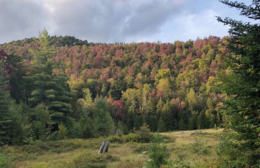  Leaves begin to change colors in New York's Adirondack Mountains.