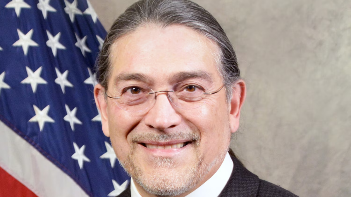 Q&A: How Census data can address health disparities in Illinois - Vimarsana News