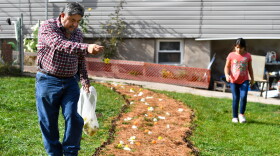Quirino Ponce and Rosa Castro, 8, sprinkle flower petals from the cempazuchitl flower along a path to the Dia de los Muertos ofrenda.