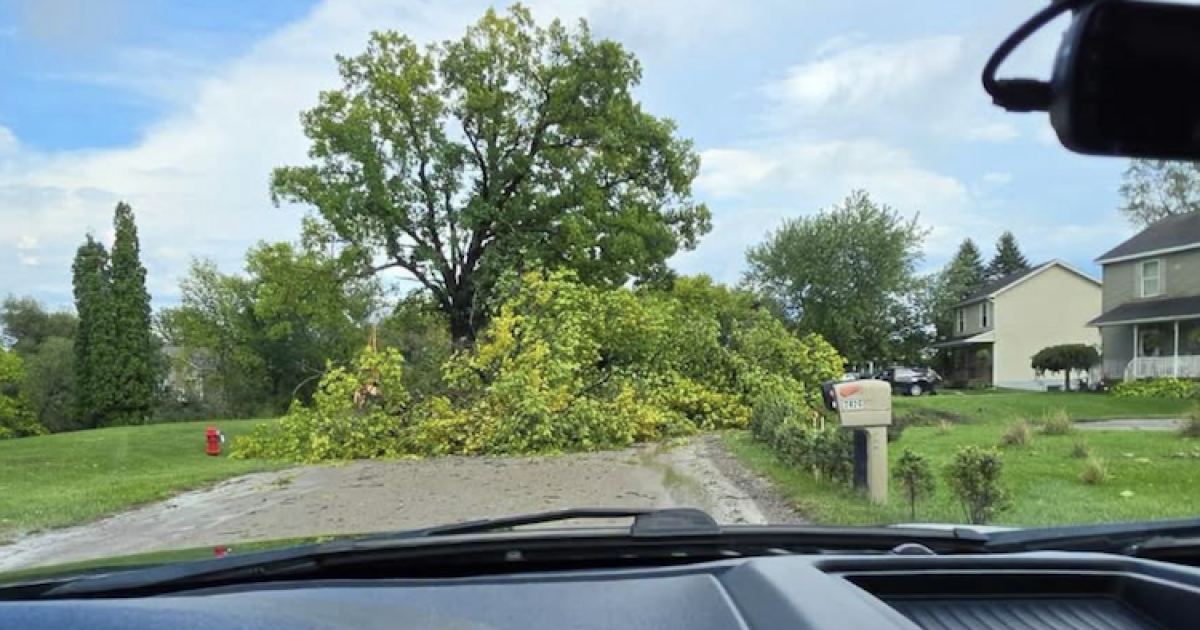 Power returns to most of mid-Michigan as storm cleanup continues Sunday