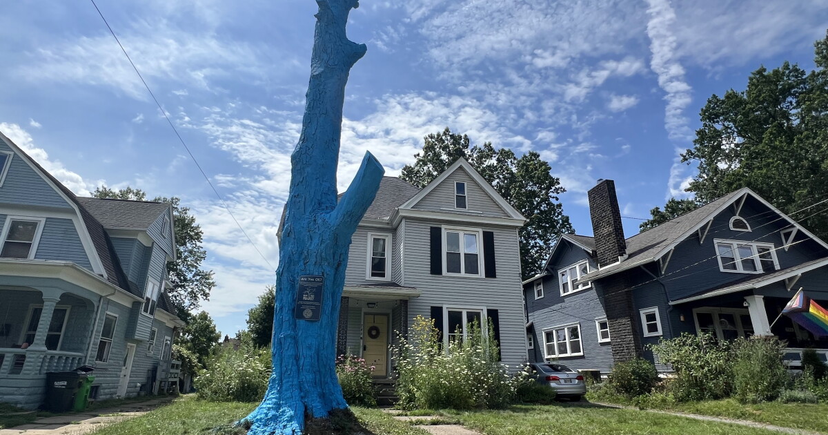 In Wayne County, blue trees are starting conversations about mental health