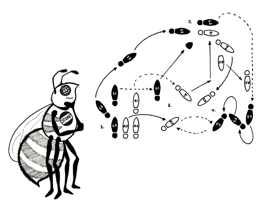 The waggle dance.
