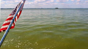 A bloom of cyanobacteria in Lake Erie.