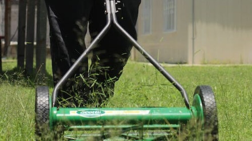 A green rotary mower