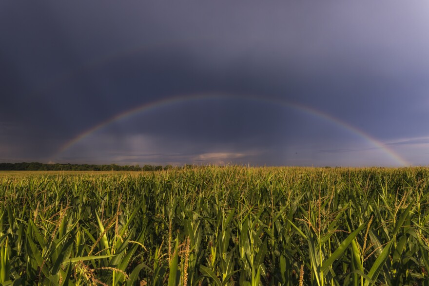 A rainbow forms over cropland in Lenawee County, part of the River Raisin watershed which drains into Lake Erie.