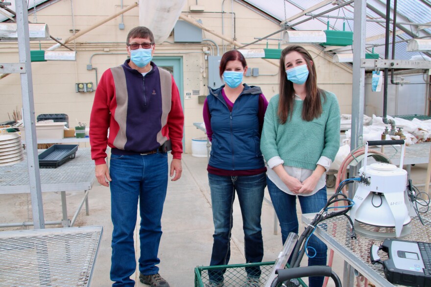 Three researchers in a greenhouse pose for a photo.