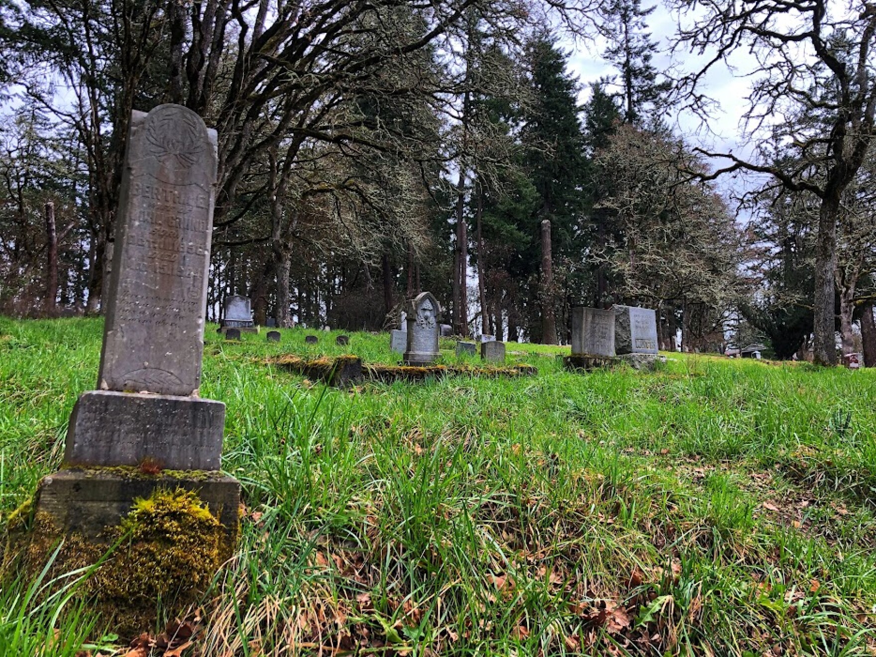 Eugene Masonic Cemetery now accredited as an arboretum