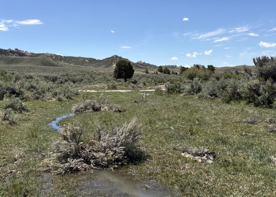 Two beaver dam analogs consisting of wood material stand along a stream.