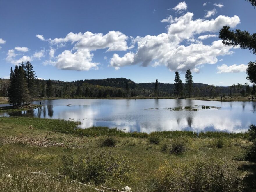 Gamma Resources, Ltd., a Canadian company seeking a federal permit for uranium exploration in Carson National Forest in New Mexico, issued a public statement in mid-August 2026 expressing regret over its lack of community outreach.