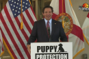 Governor DeSantis proposes puppy protections.