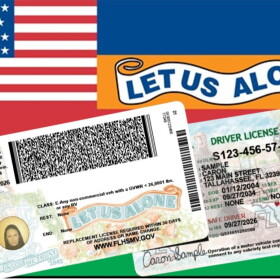 images of the 1845 flag and new driver's licenses 