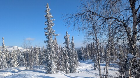 February first, 2026, Gilmore Dome area view.