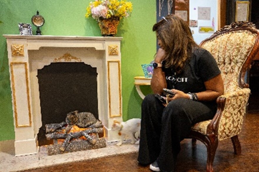 The fireplace is a popular area for kittens to lay at The Charming Cat Corner in Lewisville.