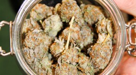 Illinois has been mulling over the idea of legalizing recreational cannabis for years. While some proponents tout it as a social justice issue, others focus on the additional revenue it could bring in for the cash-strapped state. 