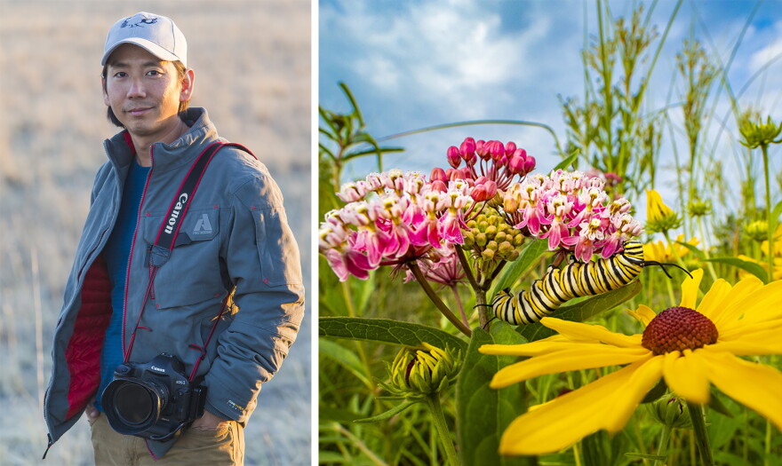 Noppadol Paothong is a wildlife photographer for the Missouri Department of Conservation. "Whenever I can, I prefer to use an ultrawide-angle lens and get as close to the subject as possible, while still showcasing its habitat," he said. "This helps viewers understand that protecting these beautiful habitats is key to a species' survival."