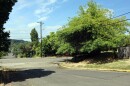 Power lines near 26th Ave and Jefferson St pass through tree branches in this August 14, 2026 photo.