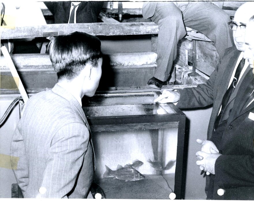 The former Emperor of Japan Akihito (then Crown Prince) looks into a fish tank on his diplomatic visit to the U.S. in the fall of 1960. Akihito and his wife toured the country in celebration of a century of U.S.-Japan relations. (credit: U.S. Department of the Interior, Fish and Wildlife Service)