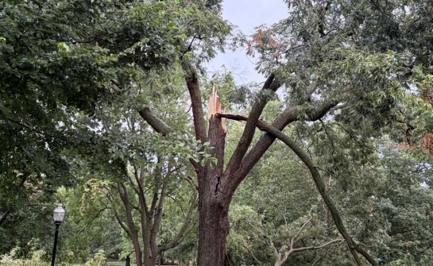Tree damage on the Illinois State quad and nearby flooding have disrupted move-in day at the university. Students scheduled to move in on Thursday afternoon have been contacted by email.