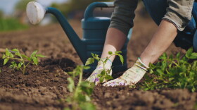 The National Young Farmers Coalition delivered a letter to House and Senate Agriculture Committee leadership signed by 175 national, regional and local organizations in support of the Increasing Land Access, Security and Opportunities Act.