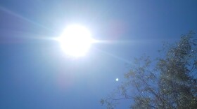 Sun in the blue sky with tree branches.
