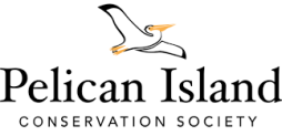 PICS logo.png