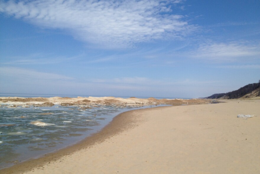 Saugatuck Dunes.