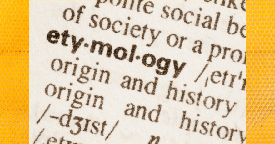 Photo: aga7ta/Shutterstock