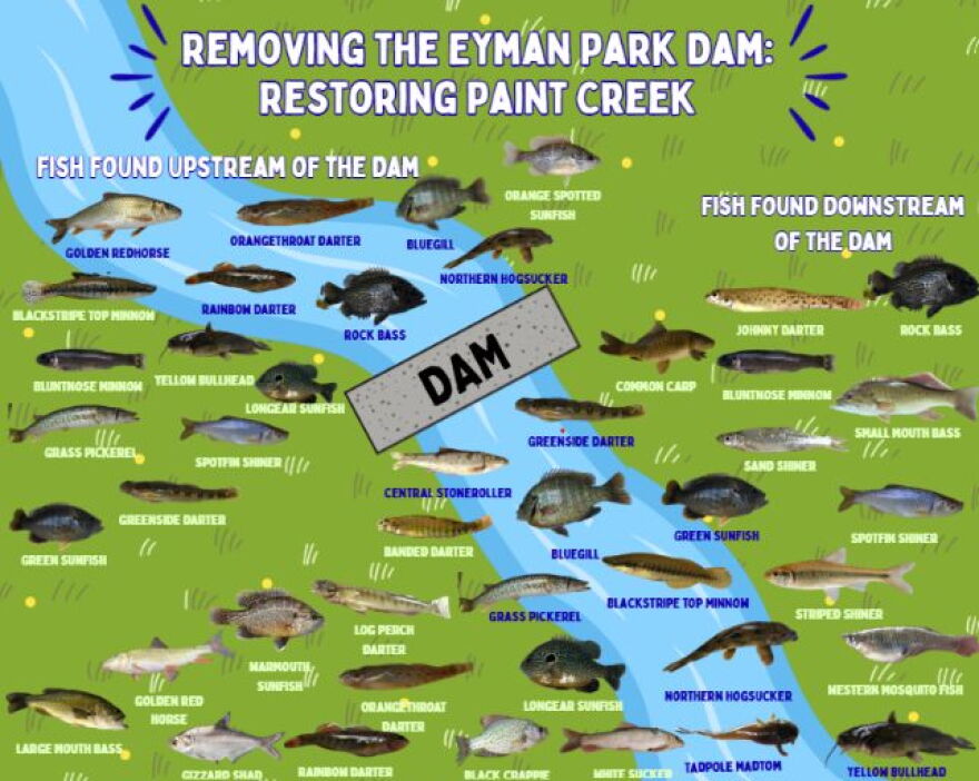 A graphic shows different types of fish on either side of a dam.