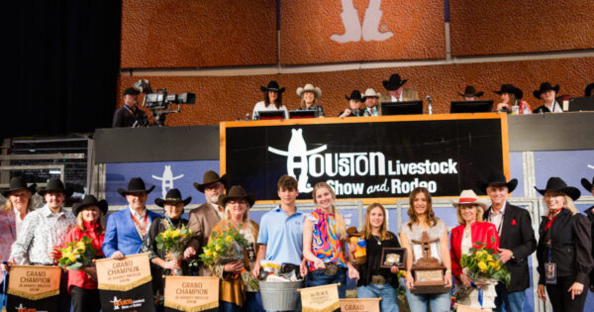 Houston Rodeo Fba A $1 million lamb, a $525K painting and a $316K turkey: Here are ...