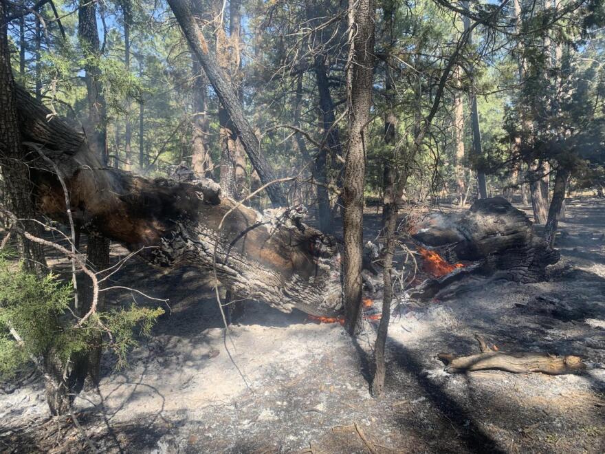 The Wilbur Fire in the Coconino National Forest