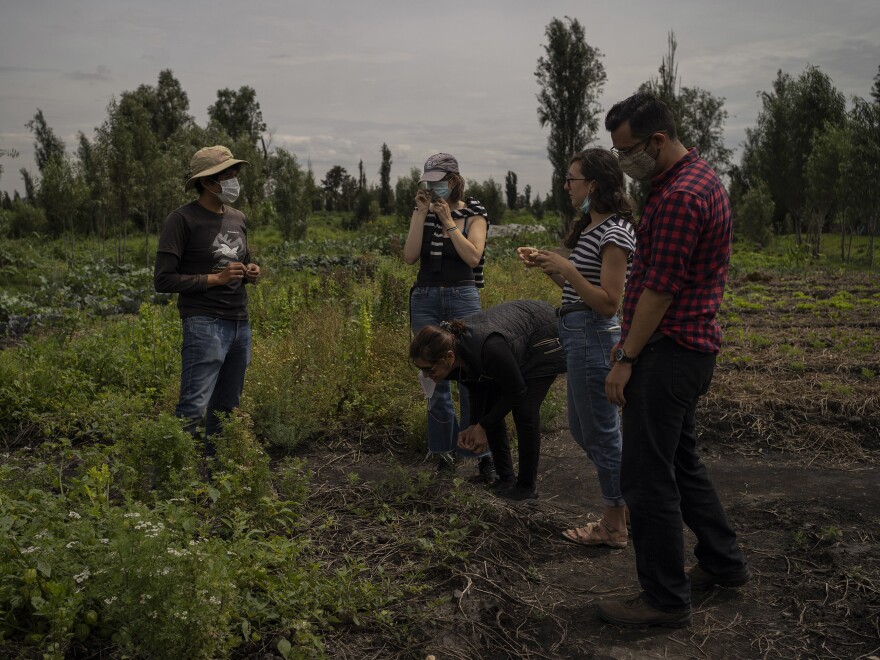 Francisco Juarez (left), an environmental educator with the Humedalia association, serves as a local guide for tourists visiting the chinampas at Xochimilco Lake.