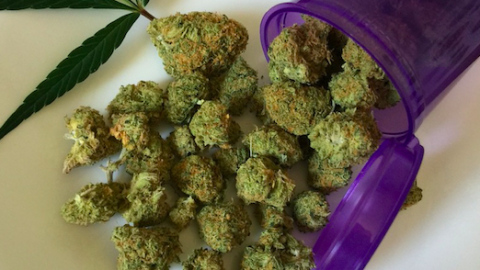 The 2016 ballot question that legalized adult marijuana use in Massachusetts envisioned a business model where marijuana could be used in licensed cafes and lounges. Almost seven years later, Cannabis state regulators are on a fact finding mission to develop policies based on how other states are building businesses.
