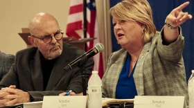 State Sen. Terri Bryant speaks Wednesday during a hearing in Du Quoin held by the Illinois Commission on Government Forecasting and Accountability regarding the proposed closure of the Du Quoin Impact Program.