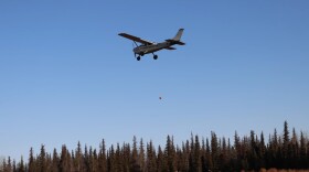 A pumpkin falls from an airplane at the Kenai Pumpkin Drop on Saturday, Oct. 19, 2024.
