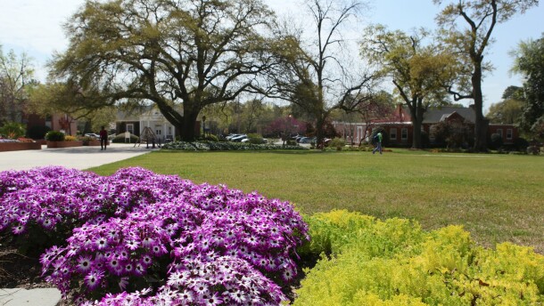 Photo of landscape in Columbia, S.C.