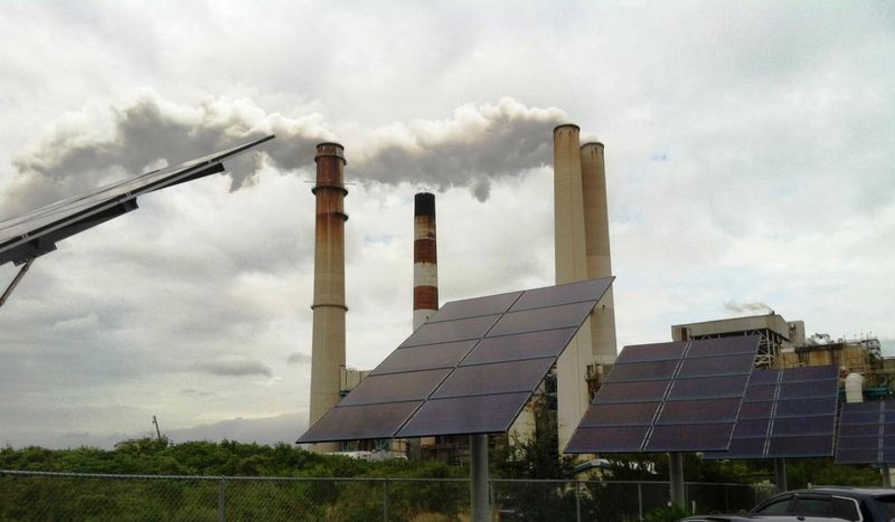 Rep. Castor Asks Governor For TECO To Switch To Renewable Energy At Big ...