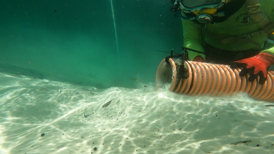 Divers vacuum up the river sediment