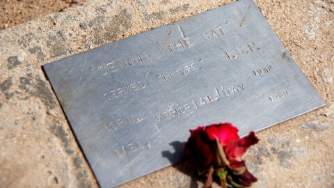 Dennis the Cat has the only marked grave inside the walls of the Old Idaho Penitentiary.
