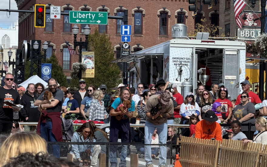 Contestants hold their dogs awaiting a round of the Wiener Dog Race. 