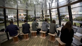People pose for the media and work during an event to launch TREExOFFICE, a prototype pop-up tree office, in Hoxton Square, London, Tuesday, June 9, 2015. Built around a tree, the concept in co-working space has eight workstations available to be hired from today through the next seven months with power and WiFi. (AP Photo/Matt Dunham)