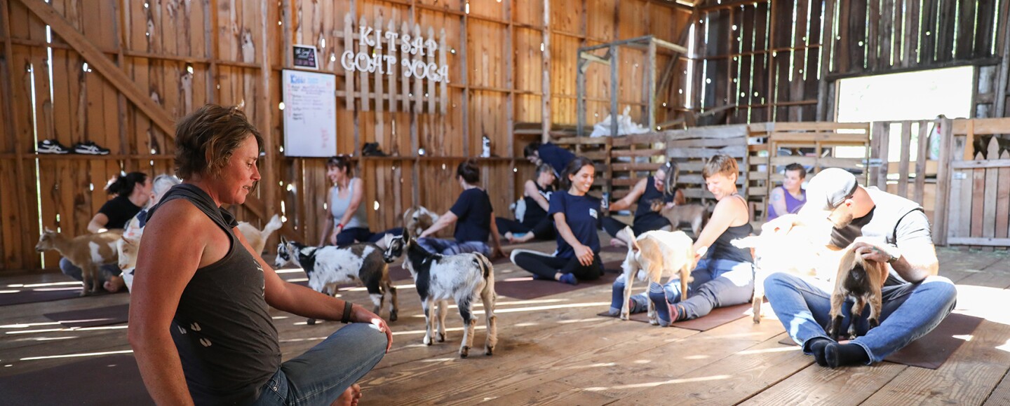 A class does yoga surrounded by baby goats