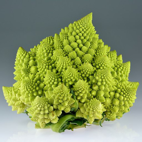 Romanesco broccoli
