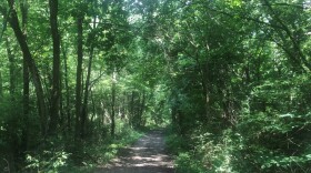 A stretch of decommissioned rail line forming the proposed Hanna City trail running from Bellevue to Farmington.