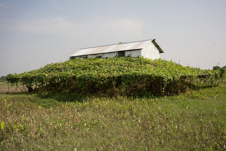 Houses on a char are built on higher ground to avoid flooding.