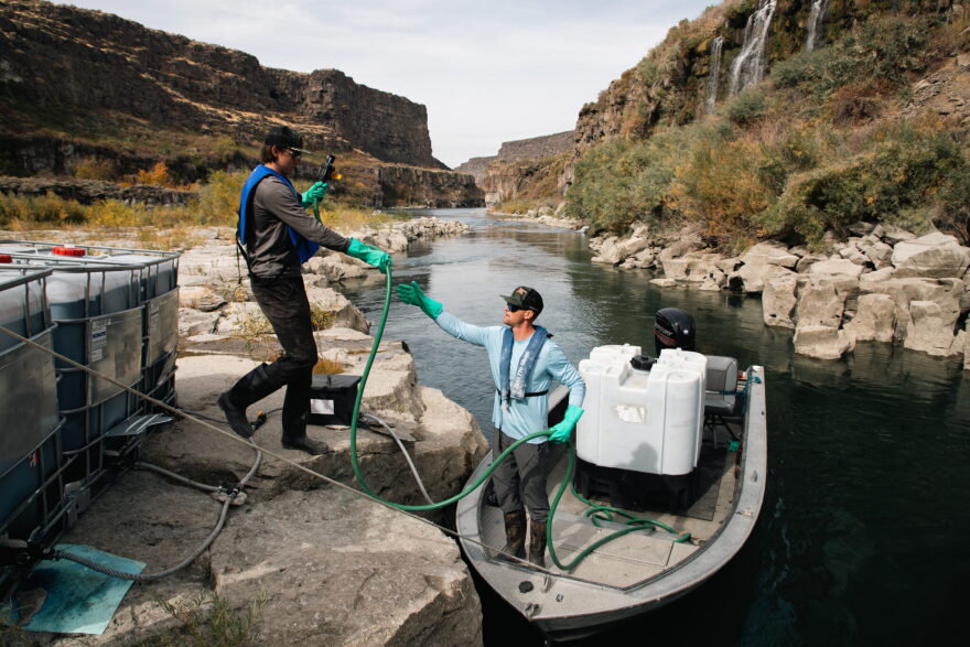 In 2024 and 2023, contractors and officials with the Idaho State Department of Agriculture treated the Snake River with a copper-based chemical called Natrix to kill quagga mussels.