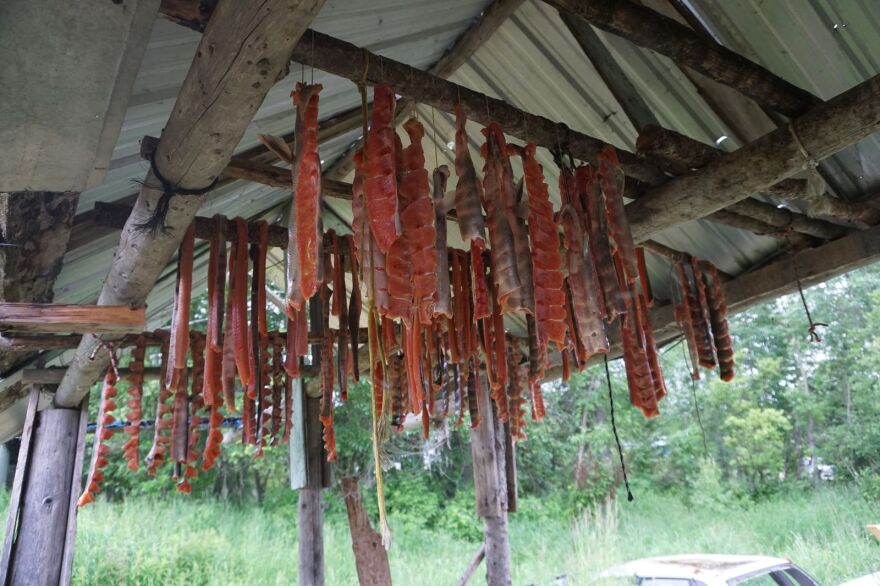 Salmon strips hang to dry in Anvik in 2023.