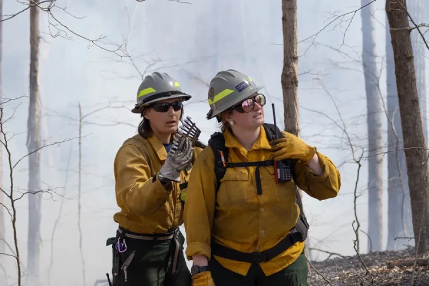Pen Johnson secures a rake on Meredith Brown’s backpack March 20, 2026, during an interagency burn in Golconda, Illinois. Johnson and Brown are members of the Illinois chapter of The Nature Conservancy, a global residency program that aims to conserve lands and waters.