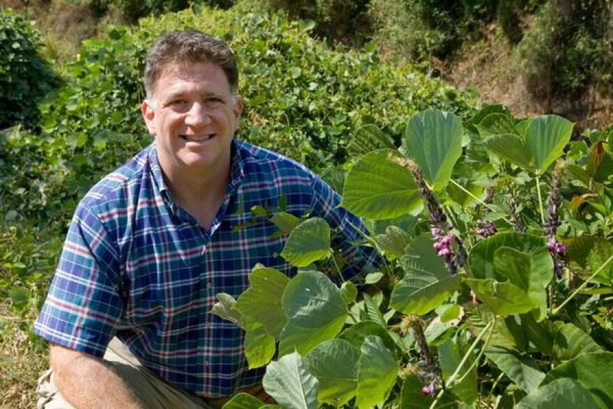Manuel Lerdau is a professor of environmental science at UVA. He's one of 181 faculty members who signed a letter asking the Board of Visitors to hold off on hiring a new president for UVA.